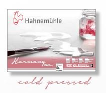 HAHNEMUHLE HARMONY WATER COLOUR PAD 300 GSM COLD PRESSED 24 X 30 CM 12 SHEETS (10628044)