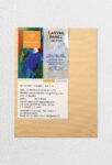 PAN ART 100% COTTON TINTED -PACK OF 4